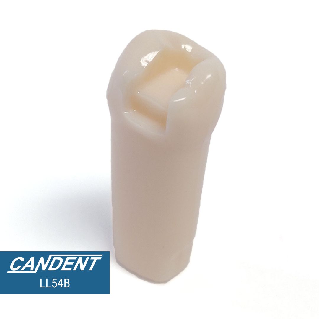 200 Series Pre-prepared Teeth