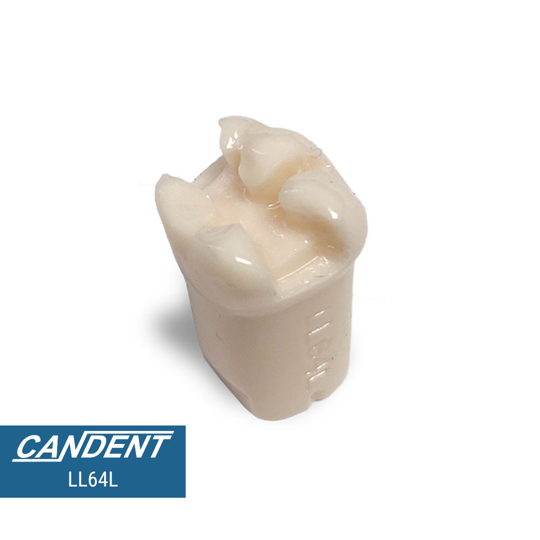 200 Series Pre-prepared Teeth