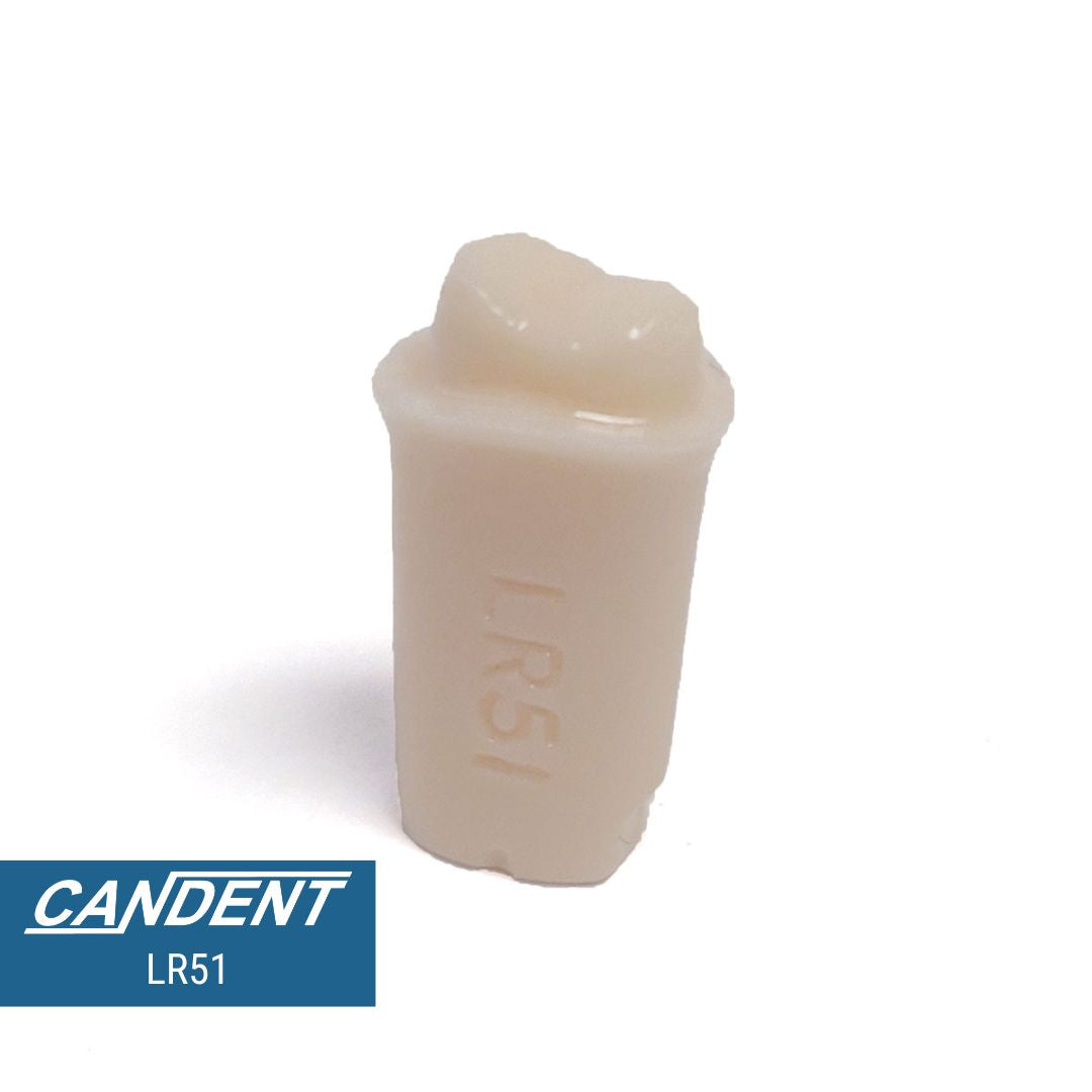 200 Series Pre-prepared Teeth