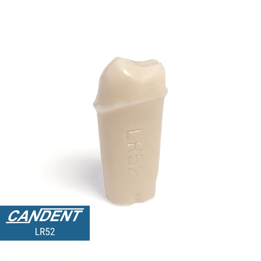 200 Series Pre-prepared Teeth