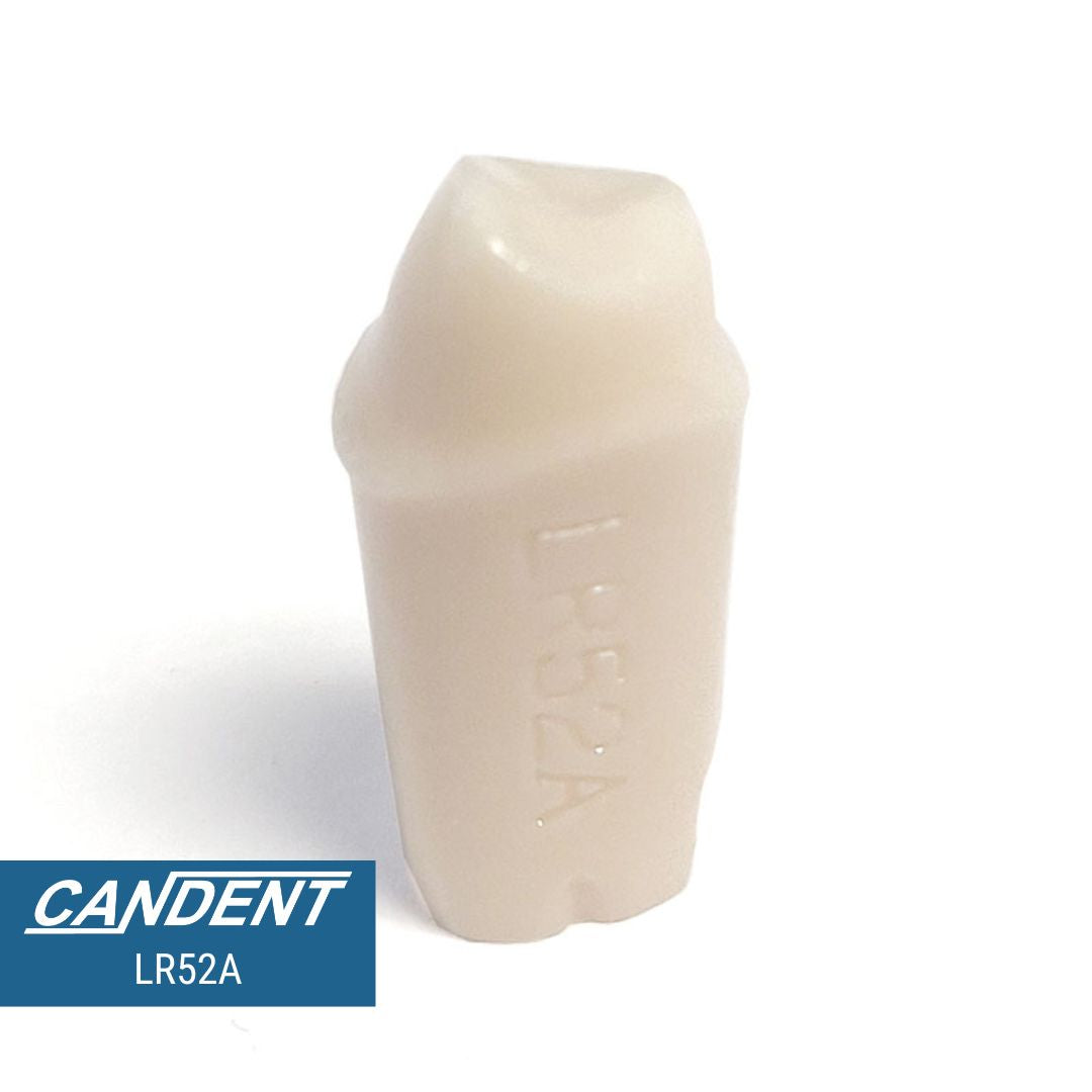 200 Series Pre-prepared Teeth