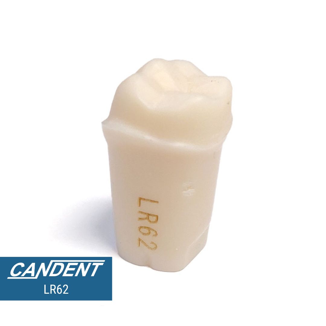 200 Series Pre-prepared Teeth