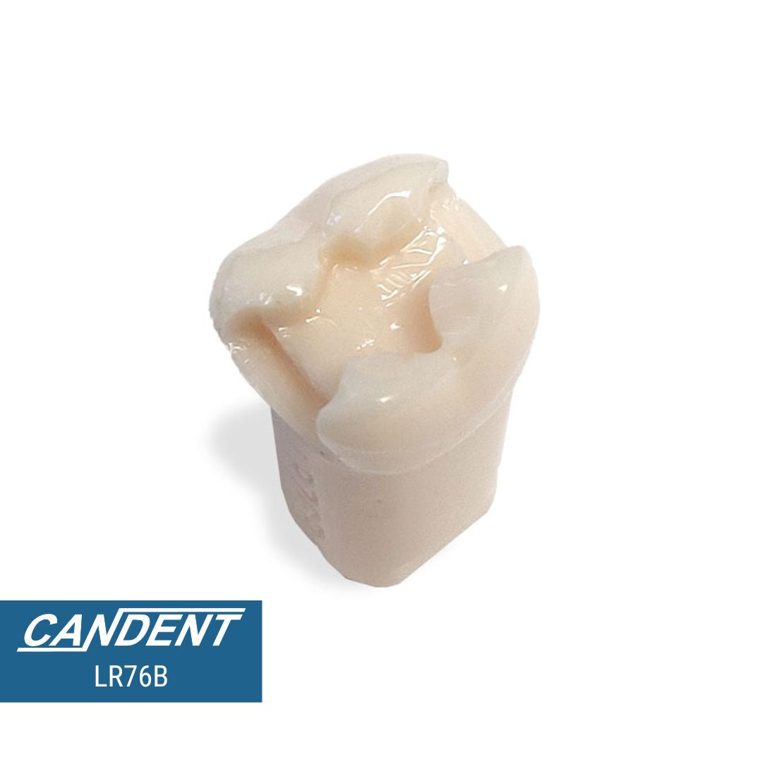 200 Series Pre-prepared Teeth