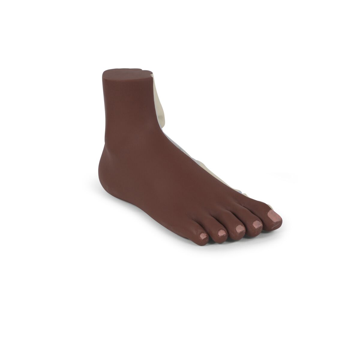 Normal Foot Model, dark skin