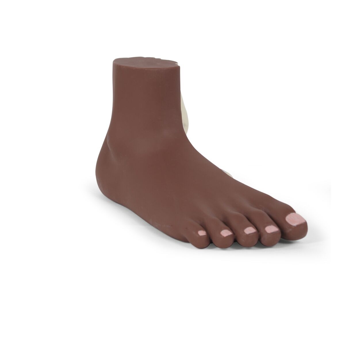 Flat Foot (Pes Planus) Model, dark skin