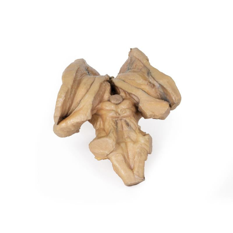 Brain stem, deep cerebral and diencephalic structures 3D Replica MP1100 | Erler-Zimmer | Candent