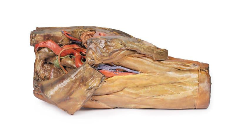 Male hemipelvis and thigh 3D Replica MP1142 | Erler-Zimmer | Candent 3