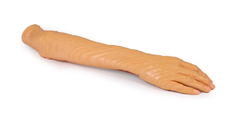 Forearm and Hand - superficial and deep dissection - 3D Printed Cadaver