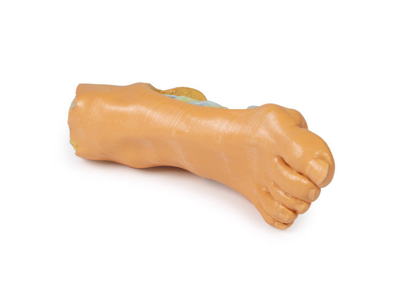 Foot - Deep plantar structures - 3D Printed Cadaver