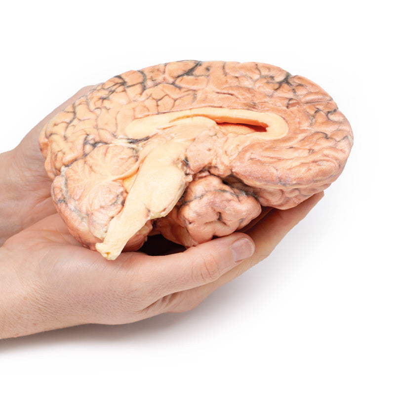 Craniopharyngioma
