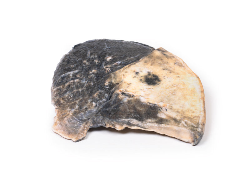 Lobar pneumonia