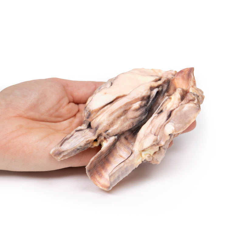 Lymphoma of the thyroid