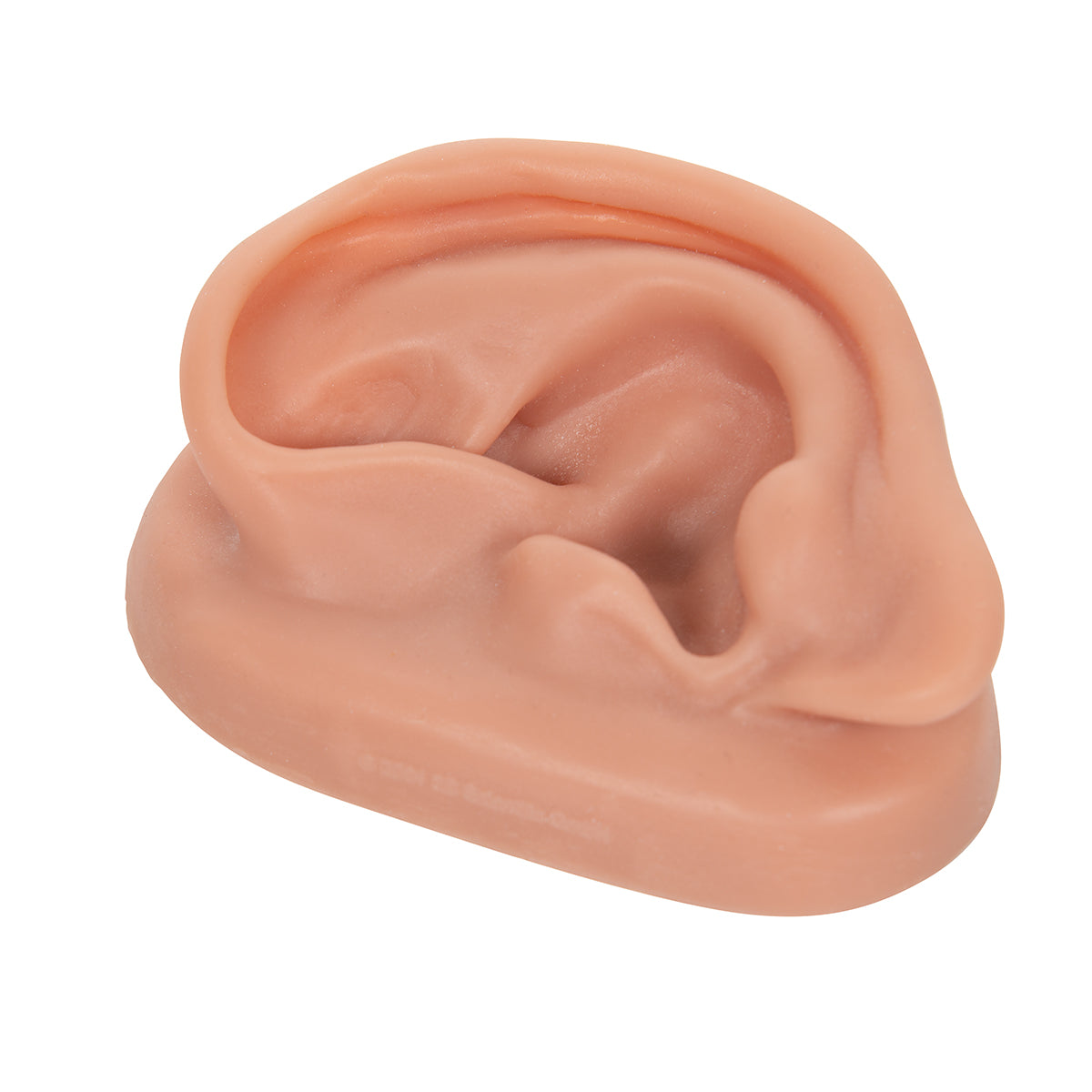 3B Acupuncture Ear, left