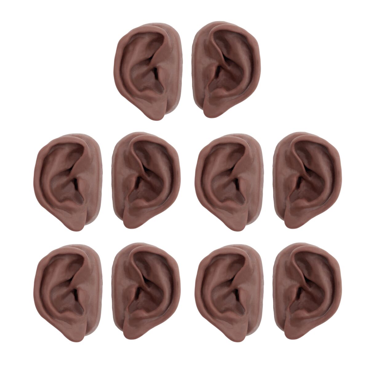 Acupuncture Ears, Set for 10 Students, dark skin - 3B Scientific N16D, view 4