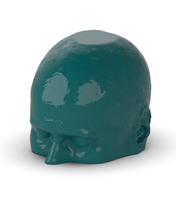 Head CTA Phantom