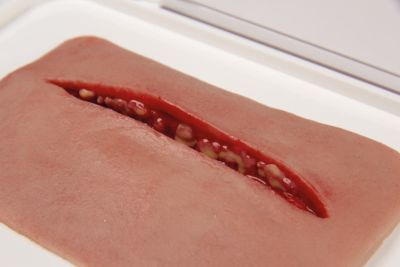 Wound moulage "Cut"