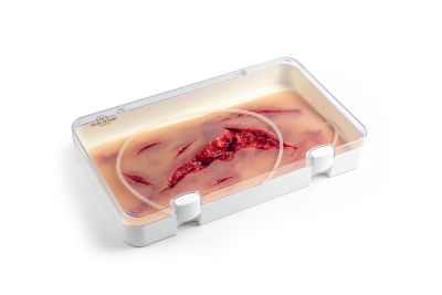 Wound moulage laceration, large with bleeding function