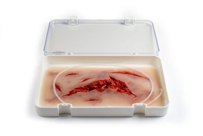 Wound moulage laceration, large with bleeding function
