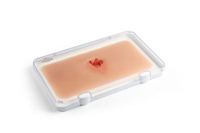 Wound moulage open fracture, arm bone with bleeding function