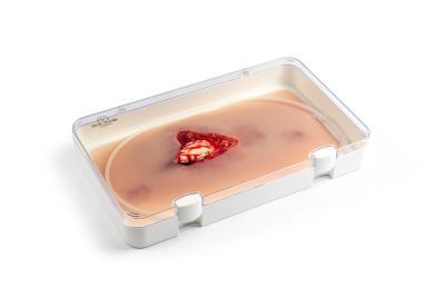 Wound moulage open fracture, leg with bleeding function