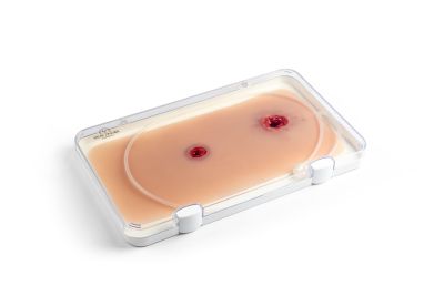 Wound moulage bullet wound, arm with bleeding function