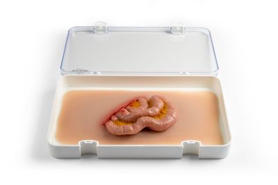 Wound moulage protruding small intestines
