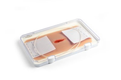 Wound moulage Stab wound neck