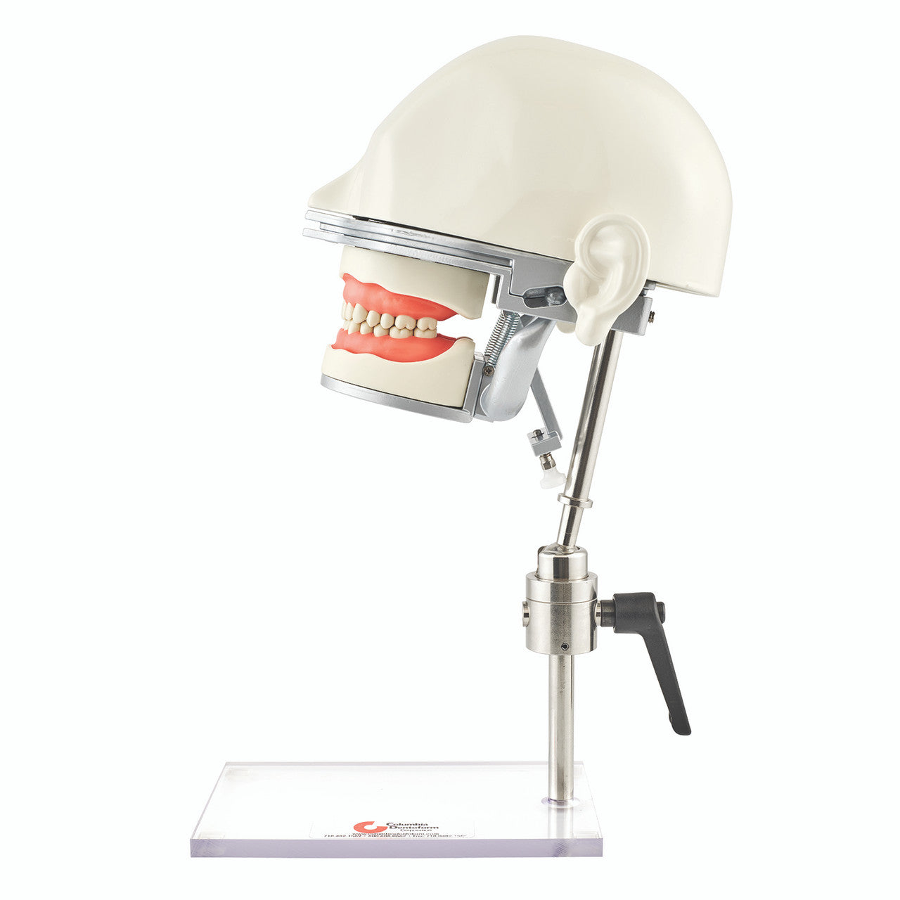 Oral Anesthesia Training Manikin with 10-Sensors