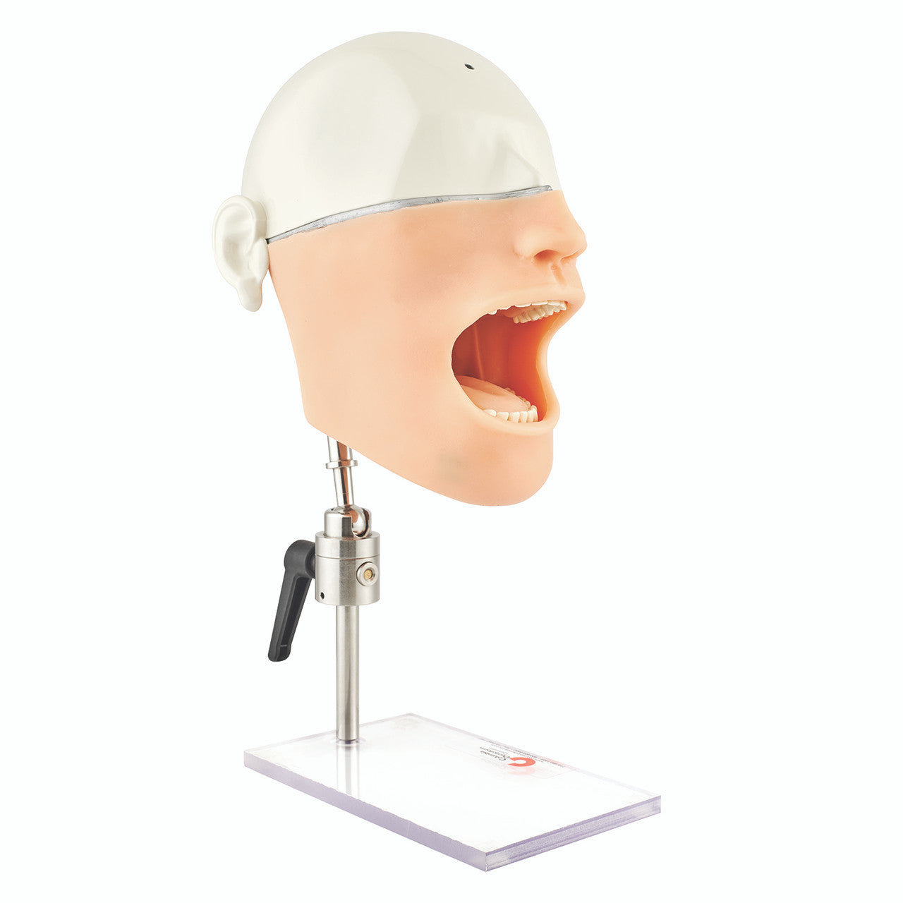 Oral Anesthesia Training Manikin with 10-Sensors