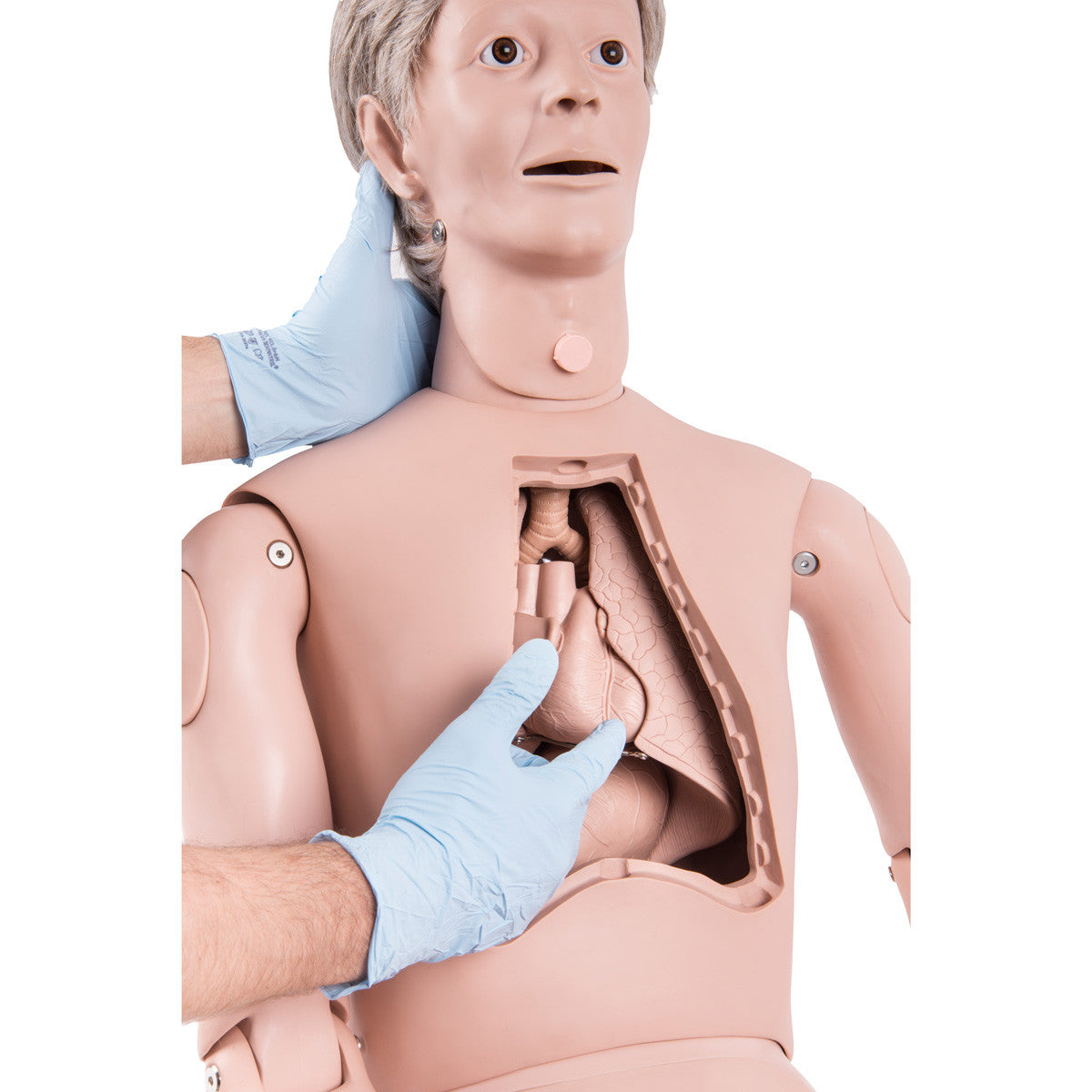 3B Scientific® Patient Care Manikin PRO - chest