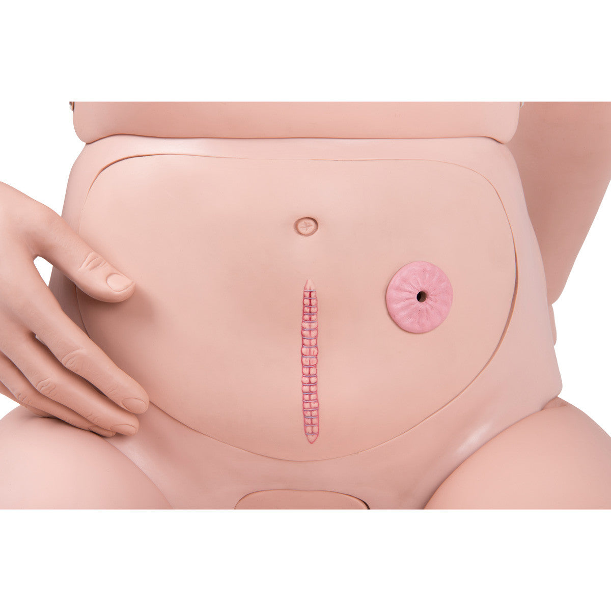 3B Scientific® Patient Care Manikin PRO - abdomen