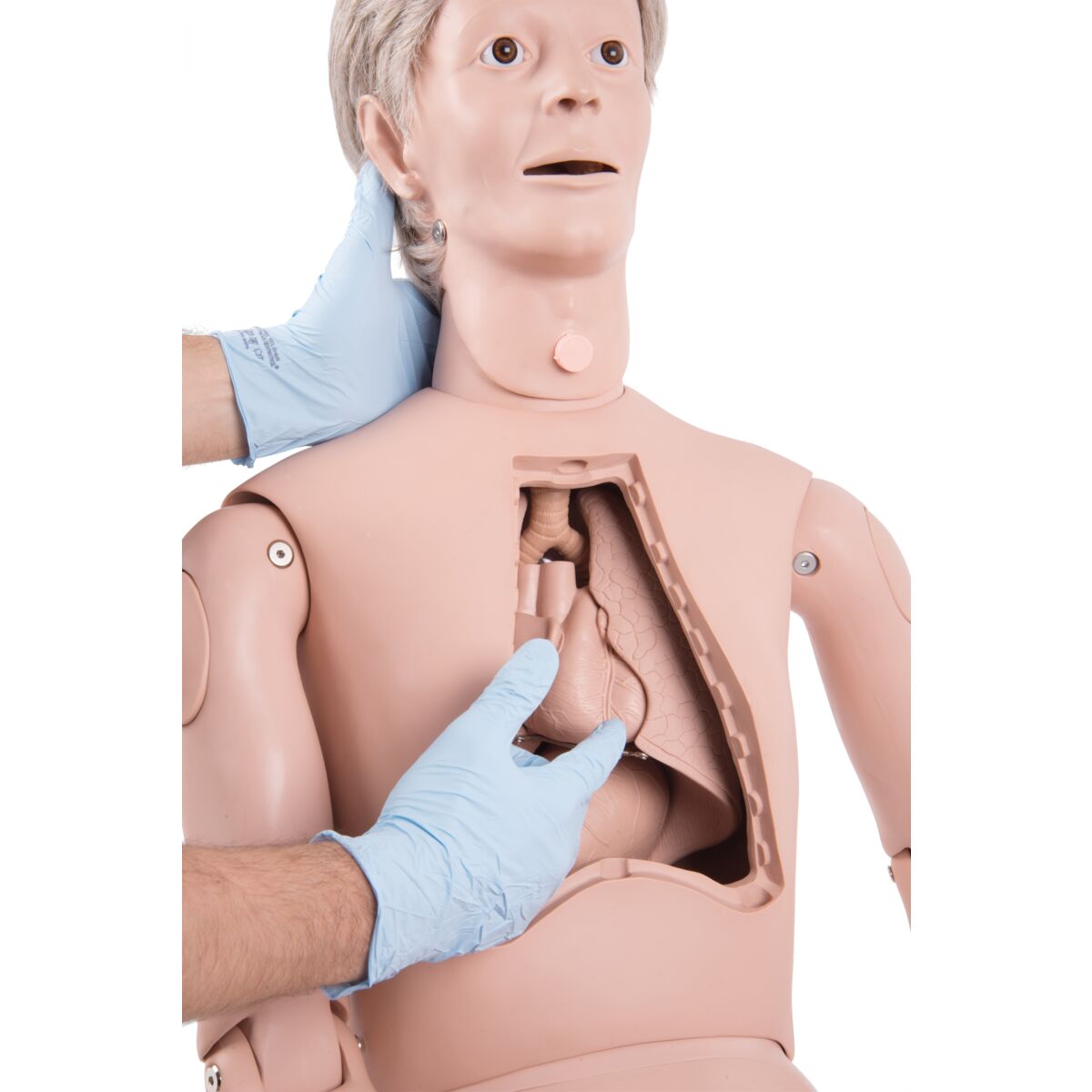 Nikki the Nursing Manikin with Auscultation, Light Skin - 3B Scientific P10CCD, view 6