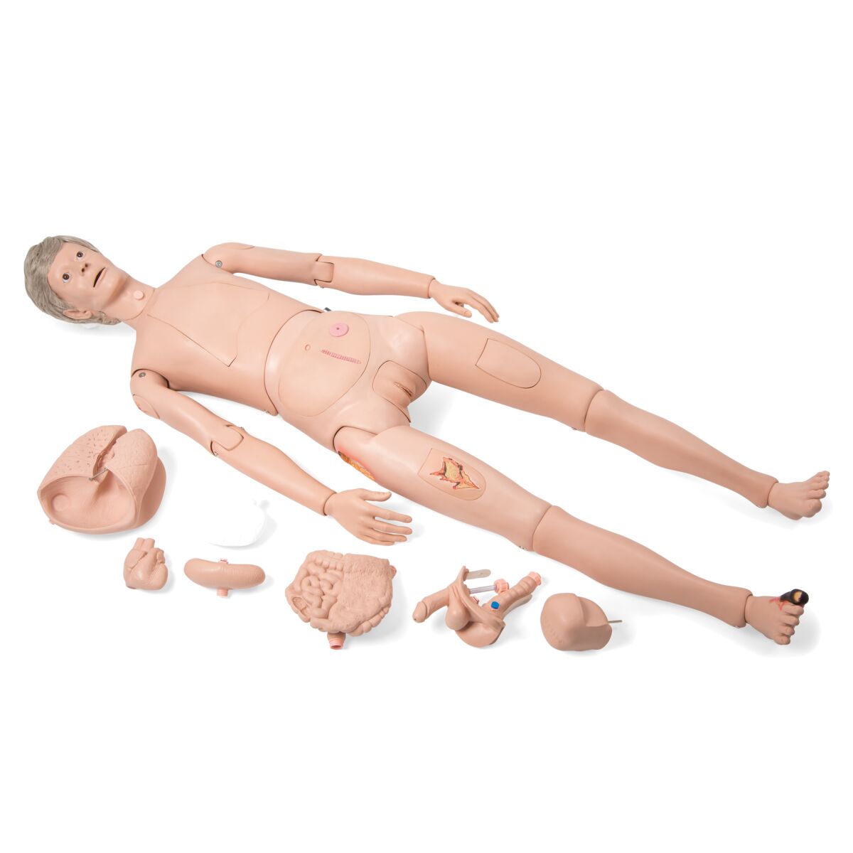 3B Scientific® Patient Care Manikin PRO, Light Skin - 3B Scientific P10N