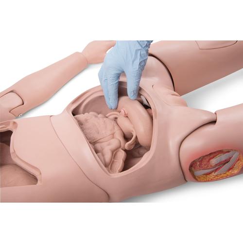 3B Scientific® Patient Care Manikin PRO, Light Skin - 3B Scientific P10N, view 16