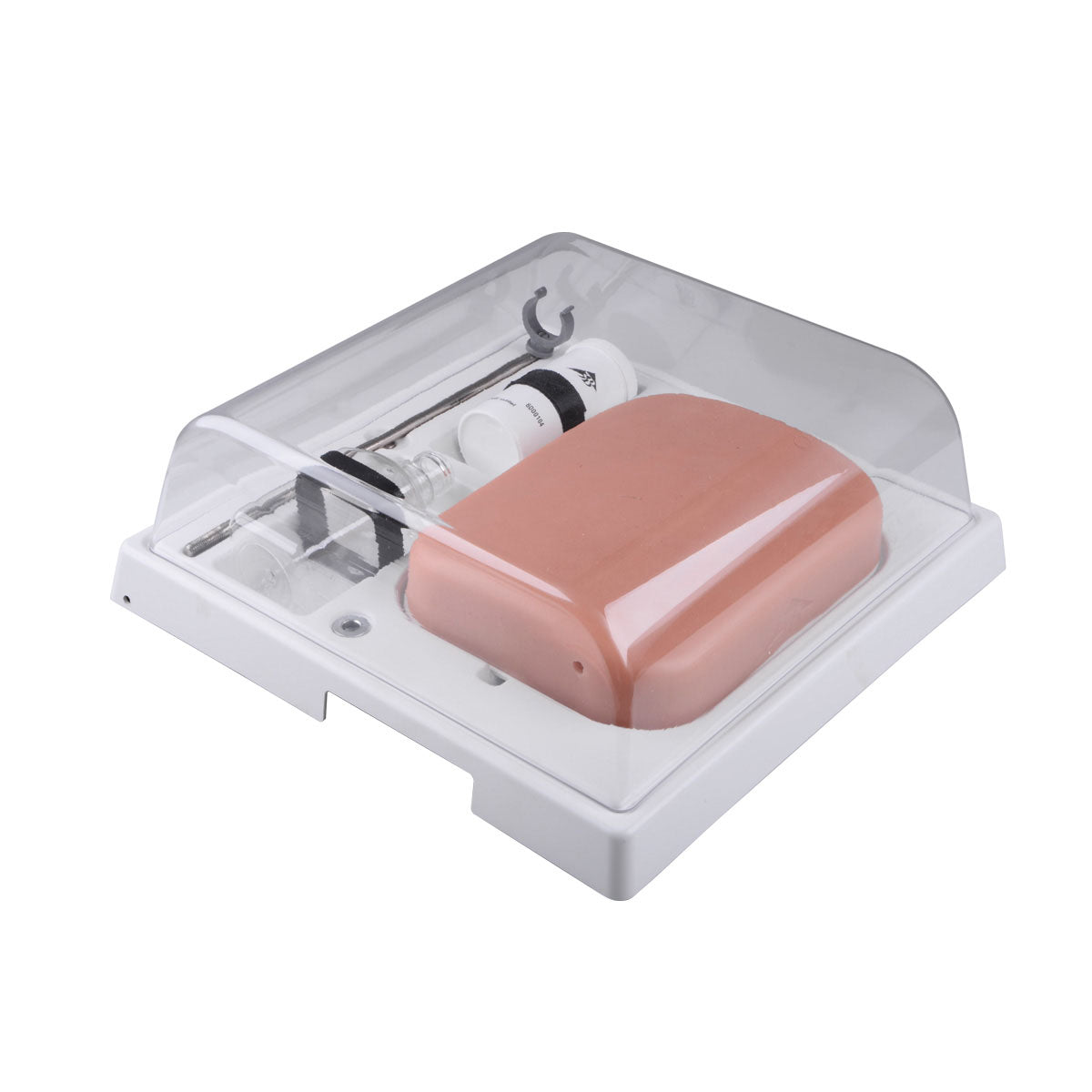 SONOtrain Ultrasound Vein Model, Light Skin