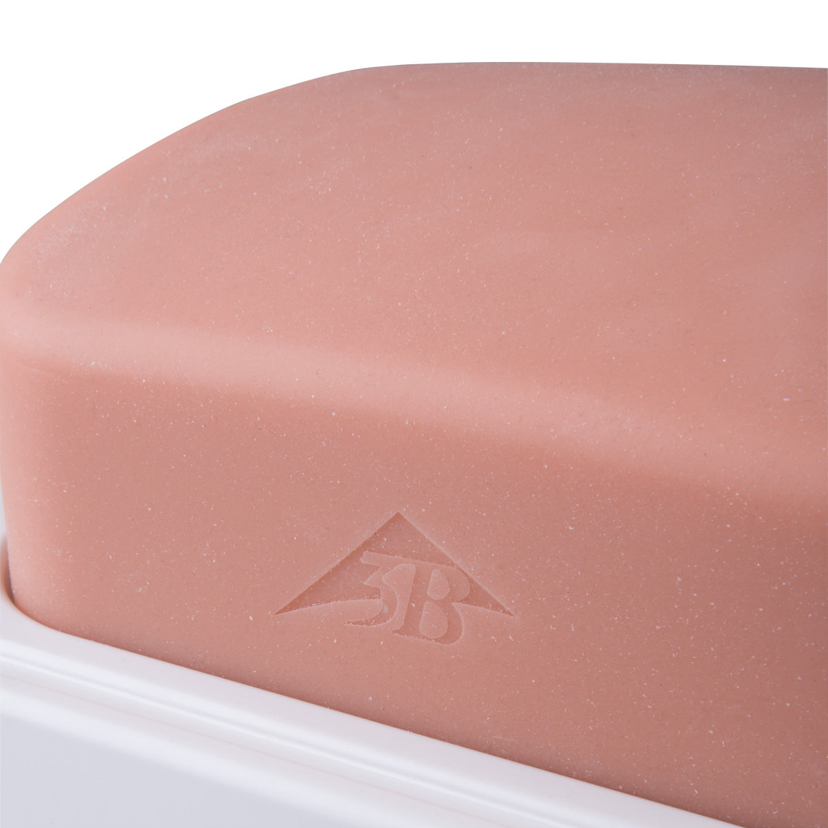 SONOtrain Gallbladder model