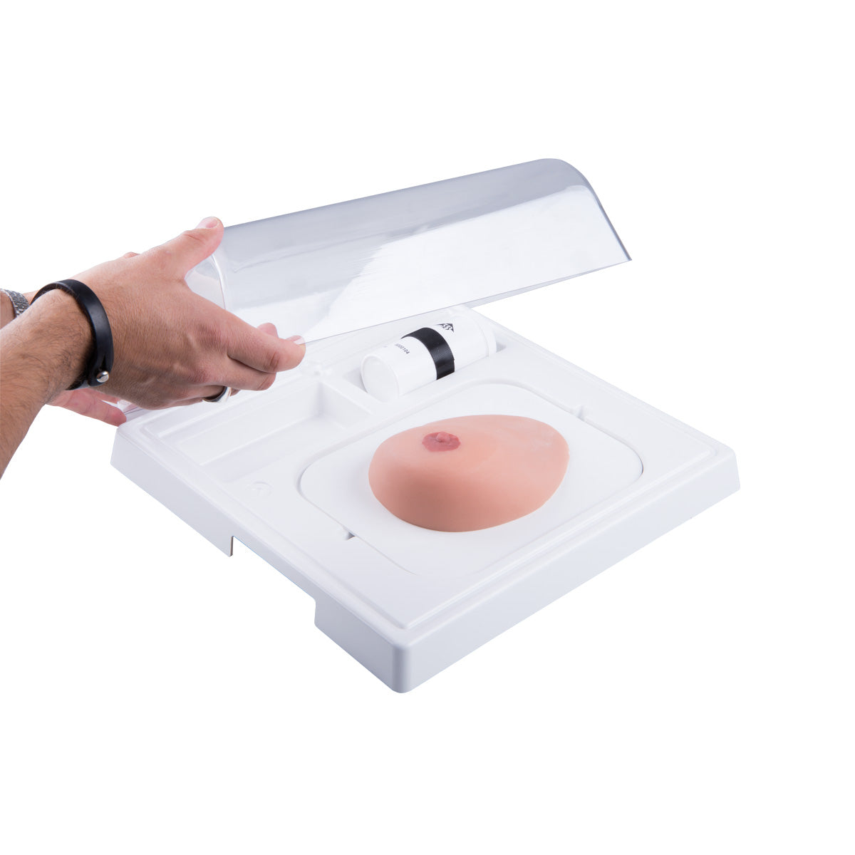 SONOtrain Breast Model with Cysts - 3B Scientific P124, view 10