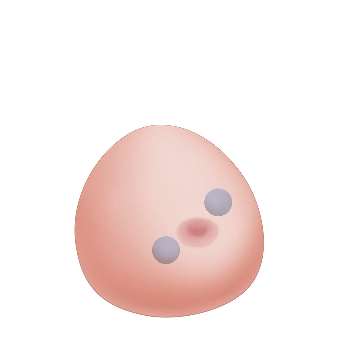 SONOtrain Breast Model with Cysts - 3B Scientific P124, view 15