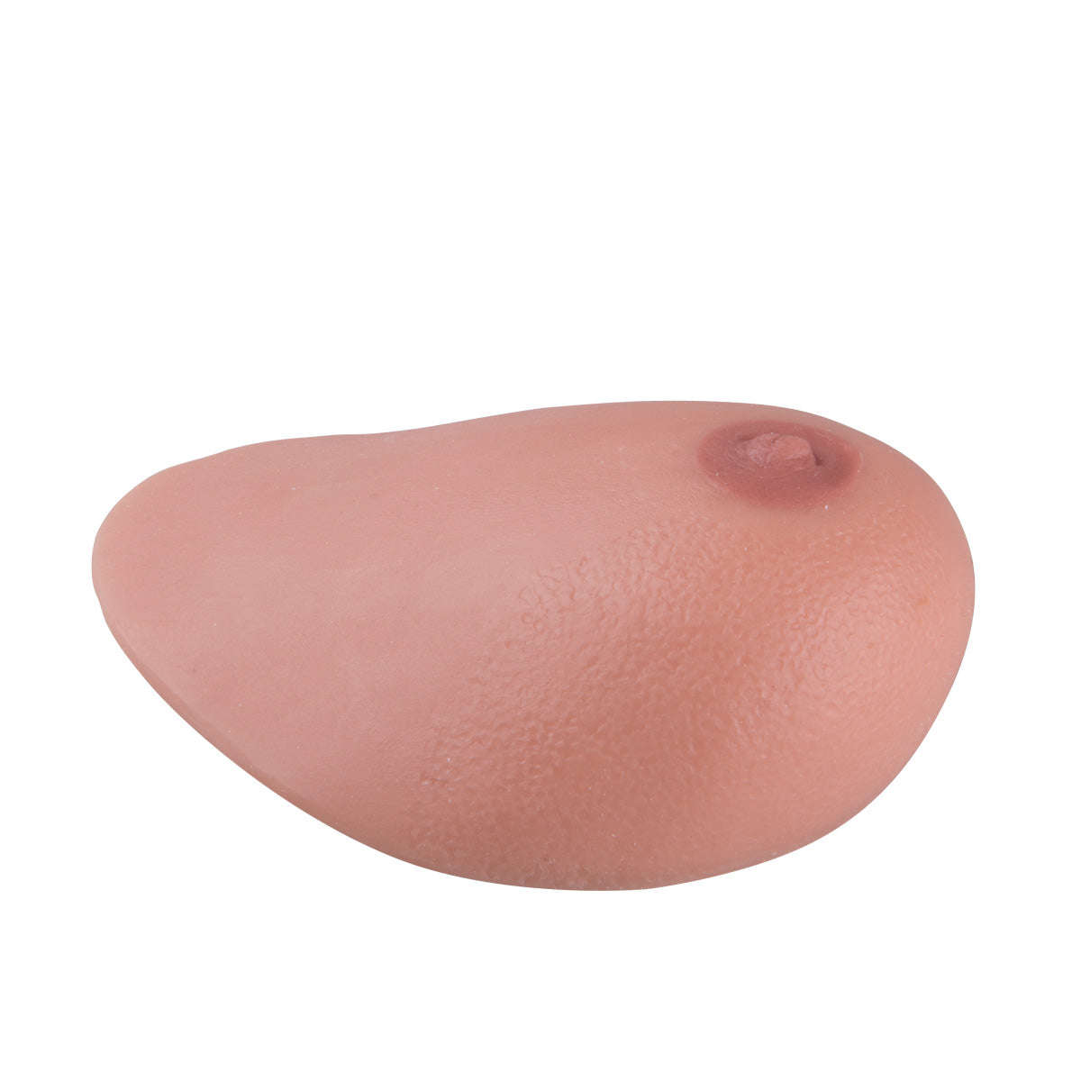 SONOtrain Breast model with tumours