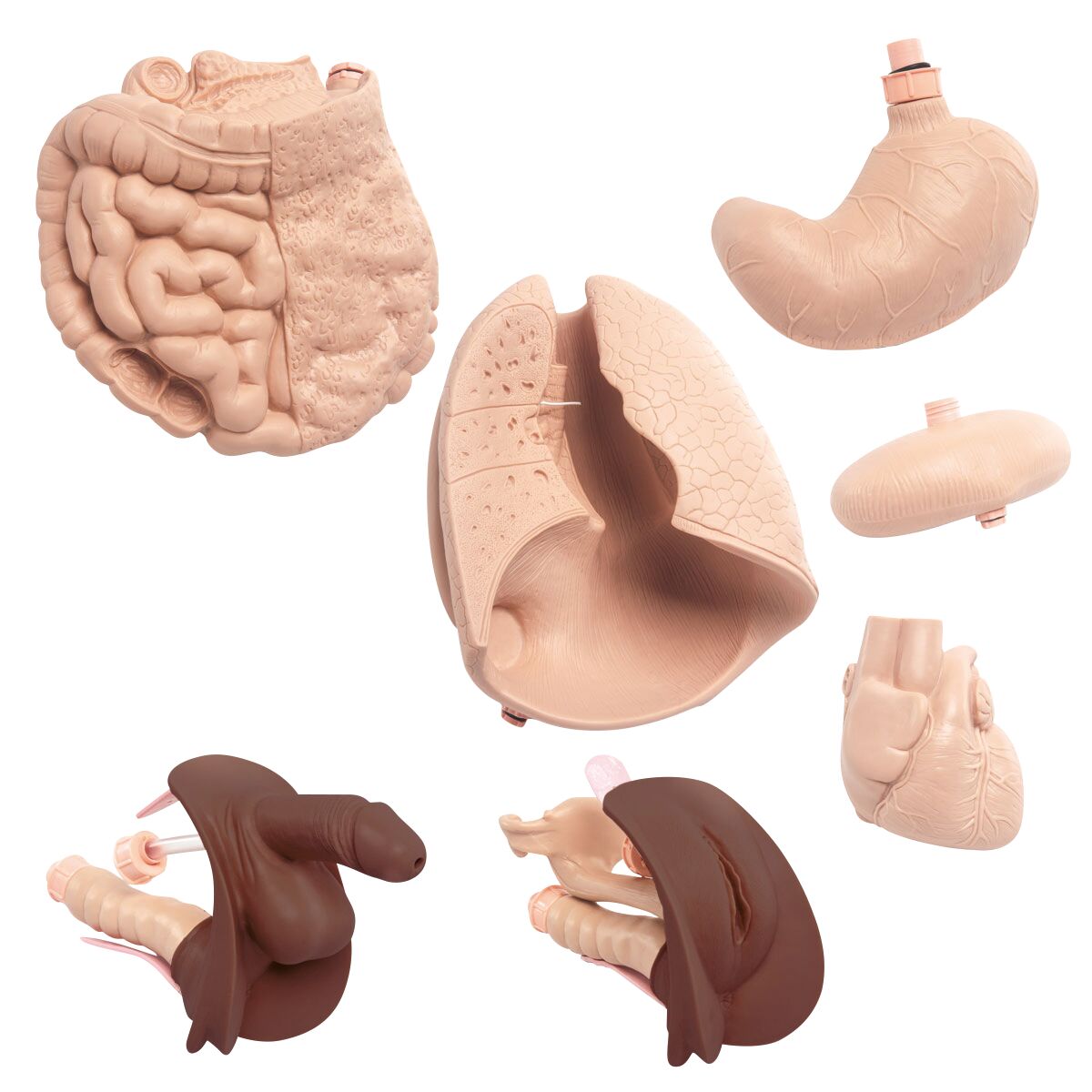 Upgrade Kit for Basic Patient Care Manikin P11D dark skin