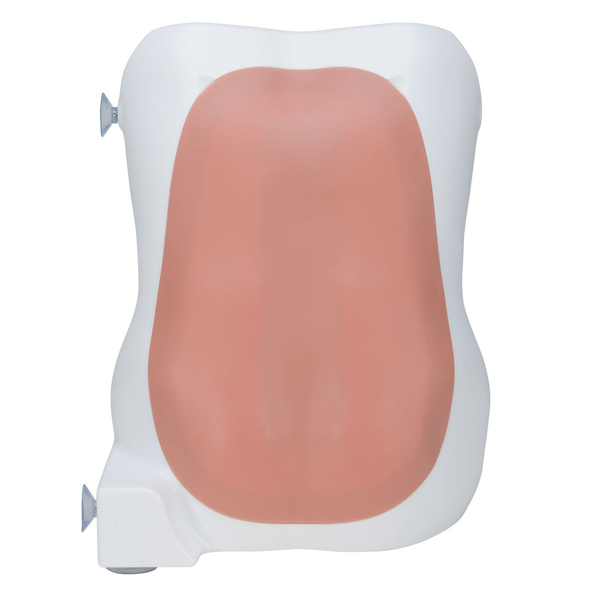 Epidural and Spinal Injection Trainer | 3B Scientific P61