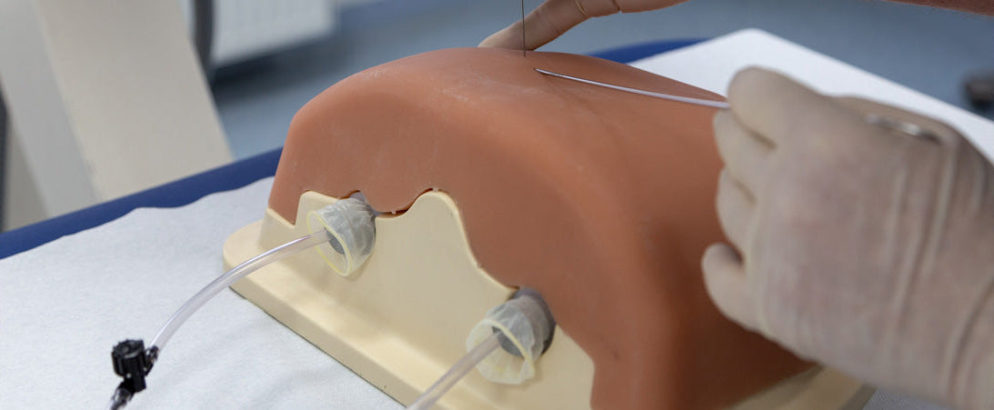 Image Guided Thoracic Spinal Injection Trainer P66 - 3B Scientific P66, view 3