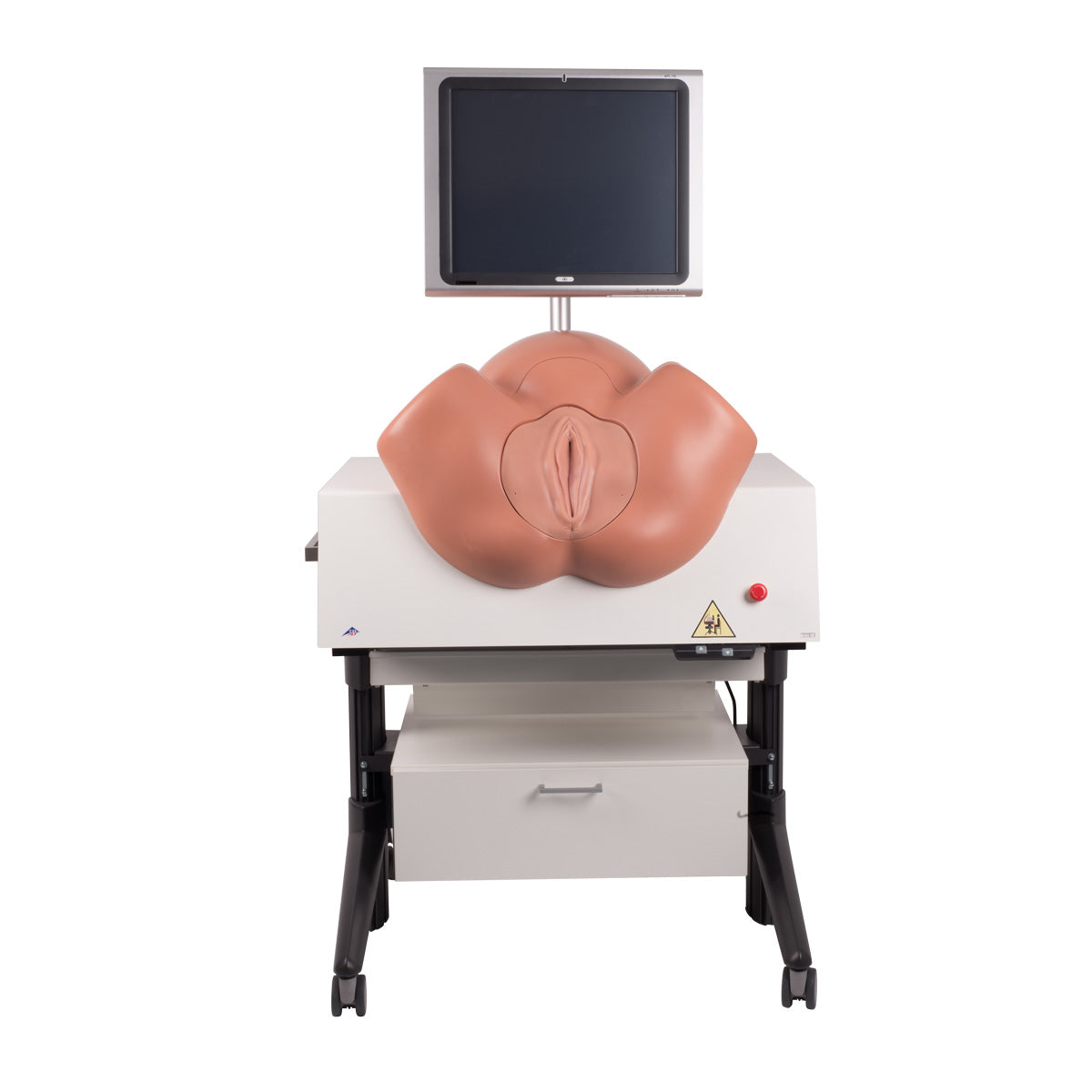 NEW SIMone Birthing Simulator