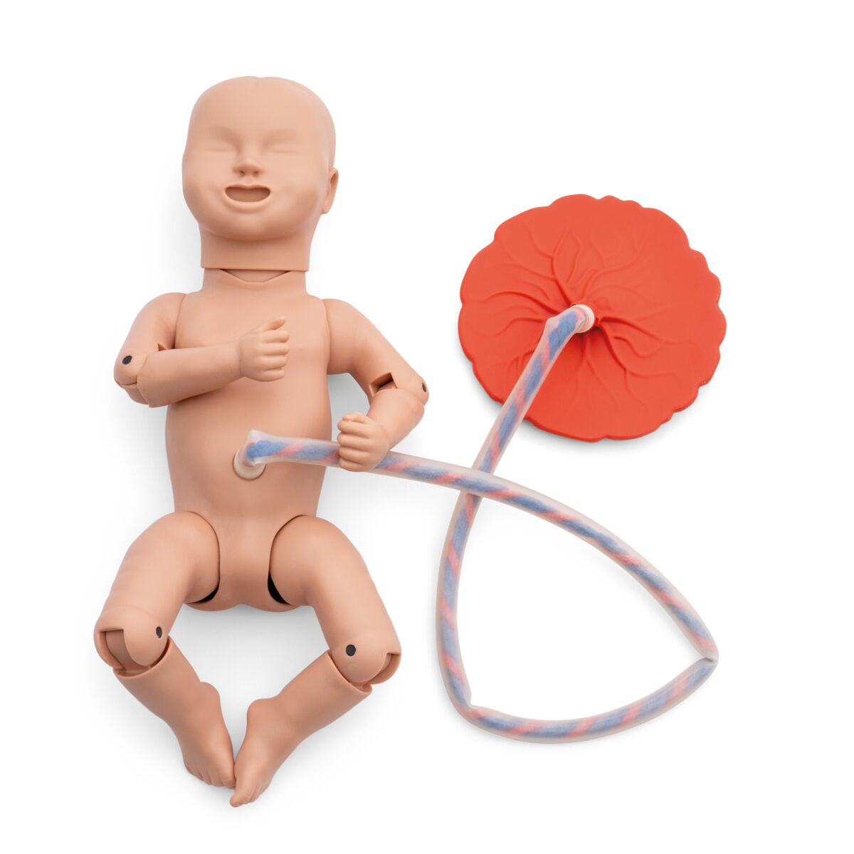 3B Birthing Simulator Pro, Light Skin