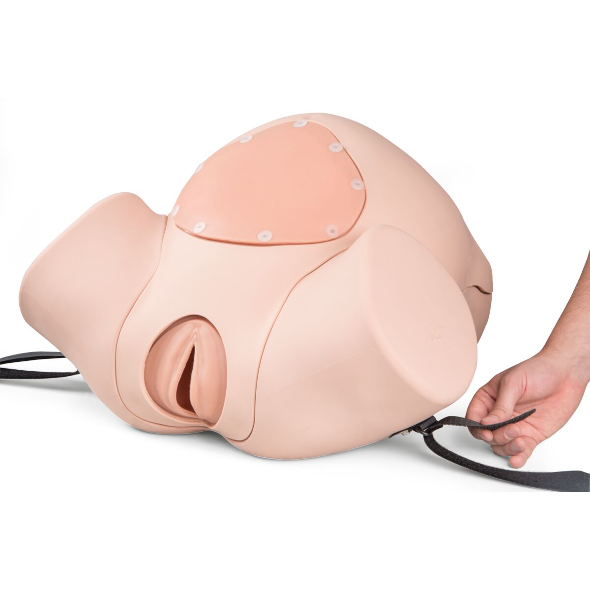 3B Birthing Simulator Pro, Light Skin