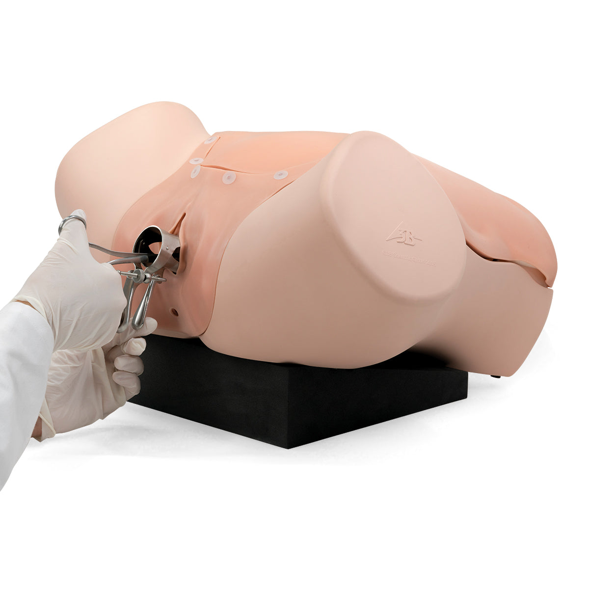 Gynecologic Skills Trainer, Light Skin