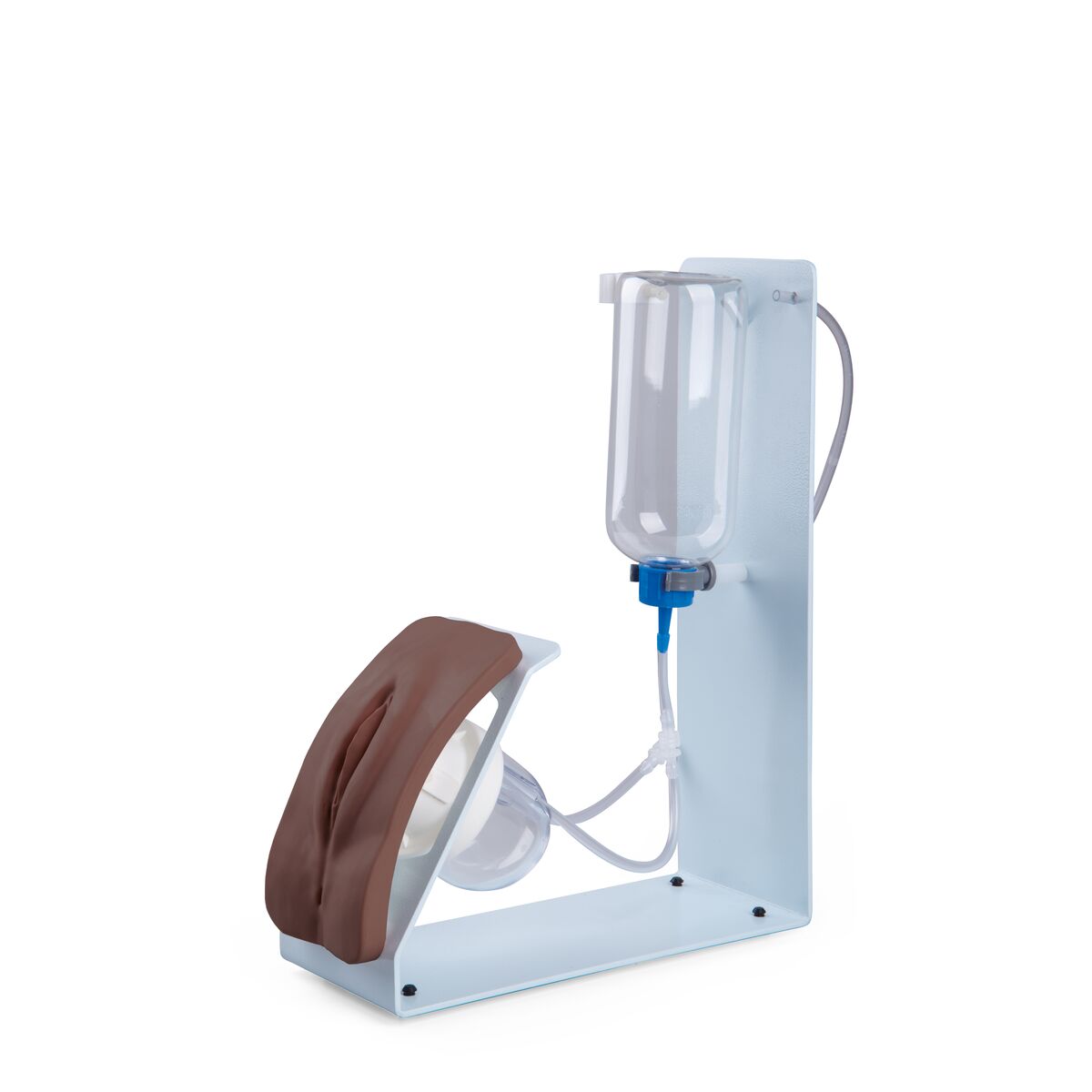 Catheterization Simulator Basic-Female, Dark Skin