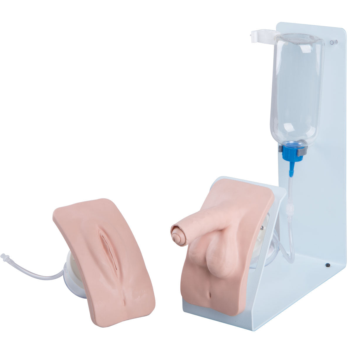 Catheterization Simulator Set Basic, Light Skin