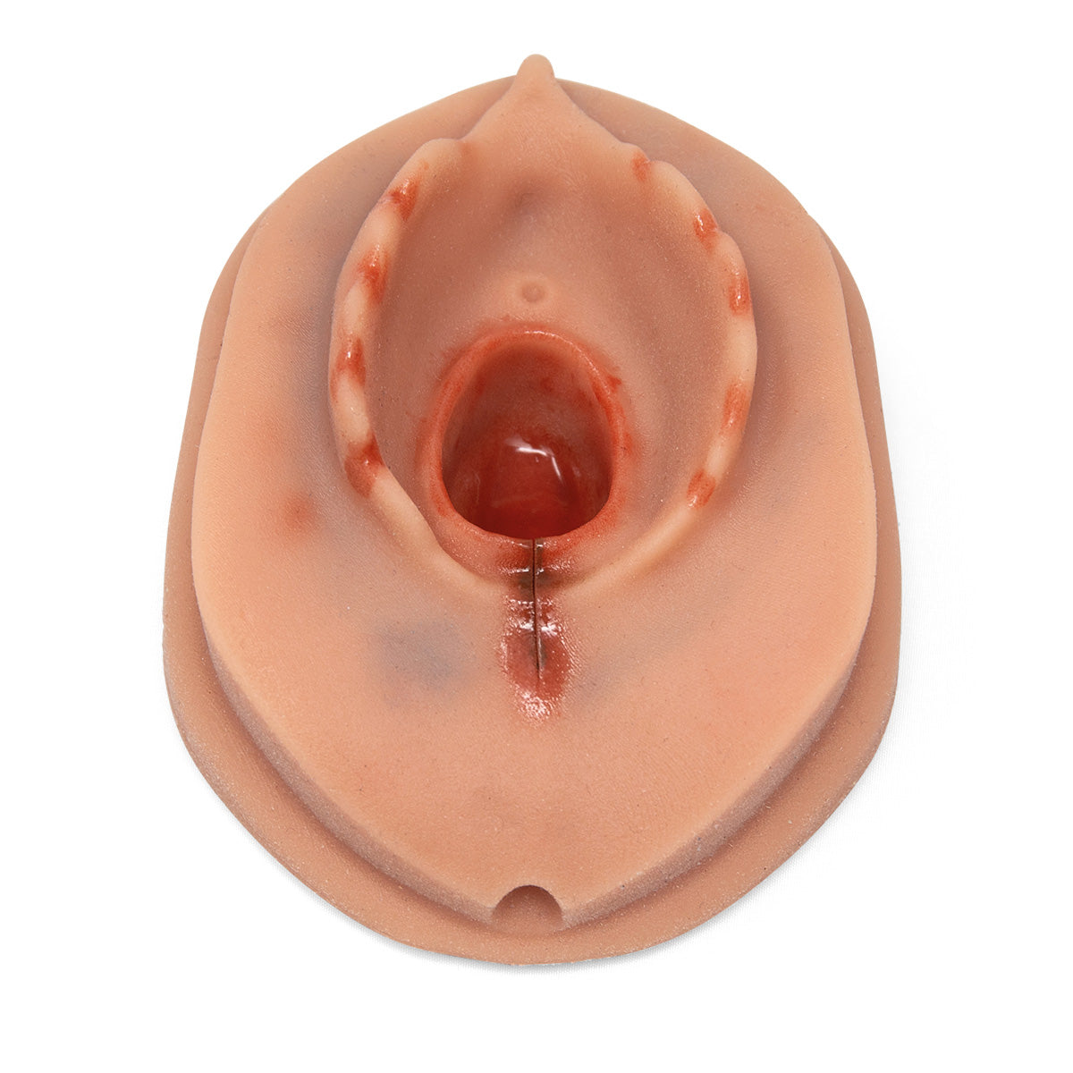 Episiotomy Suture Trainer Module P96