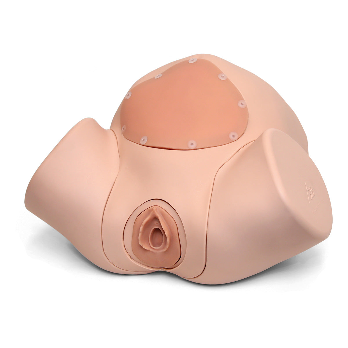 Episiotomy Suture Trainer Module P96